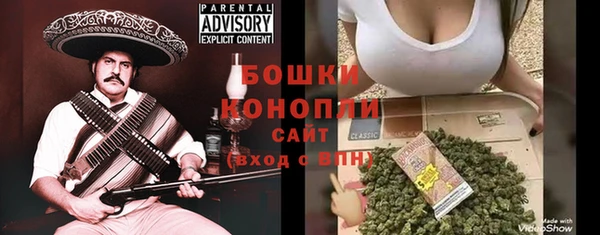 ECSTASY Аша